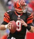 Carson Palmer - Quarterback for the Cincinnati Bengals