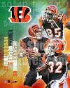 Cincinnati Bengals - Cincinnati Bengals poster
