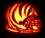 cincinnati bengals - awesome glowing bengals helmet