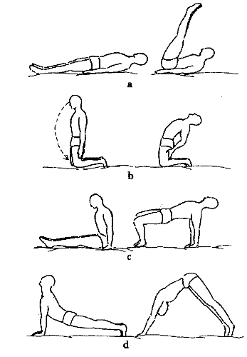 Keeping fit - Exercise - Keeping Fit
