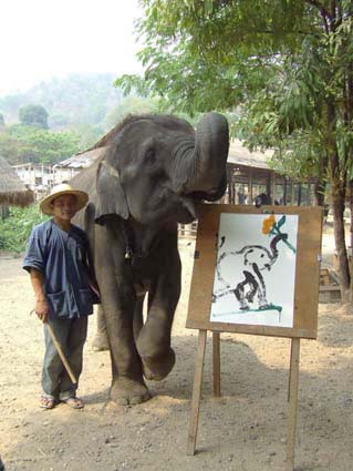 Hong the Painter - ONG&#039;S BIO: At six years old, Hong has a very curious nature. She loves to investigate everything and once managed to use her trunk to open the door of a truck. This kind of curiosity made Hong a natural candidate for artistic instruction. Two years ago, Hong began painting with her mahout, Noi Rakchang, and has steadily developed her skills. After learning how to paint flowers, she moved on to more advanced paintings. She now has two specialties. One is an elephant holding flowers with her trunk, and the other is the Thai flag. An elephant with so much control and dexterity is capable of amazing work. Just for clarification, with these realistic figural works, the elephant is still the only one making the marks on the paper but the paintings are learned series of brushstrokes not Hong painting a still life on her own.