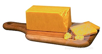 Government Cheese - The best cheese in the whole world