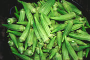 Okra - A fresh hrvest okra. It is very nutritious and easy to prepare.