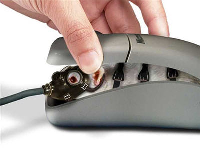 inside a pc mouse - see what's behind a computer mouse