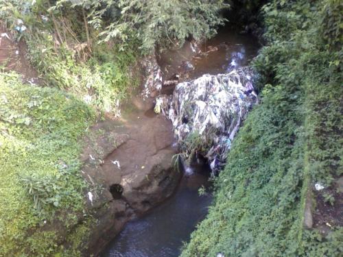 River Flow - Poluted River