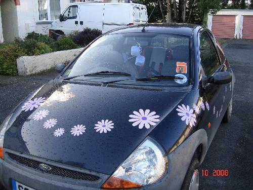 my car - Car with daisies on