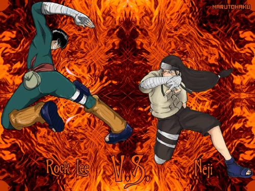 Rock Lee and Neji - The photo shows Rock Lee and Neji training. Both are short range fighers Rock lee with his taijutsu and Neji gentle fist combines with byakugan both are awesome