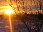 Sunset with a tree. -  A tree with a beautiful sunset along with it for this topic.