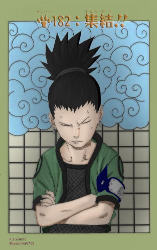 shikamaru - The genius shikamaru who always complains !! He is master of battle art and think a step ahead of others !!