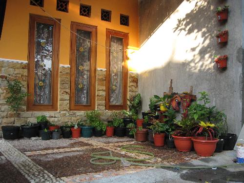 Terrace Garden 1 - Our lovely terrace garden