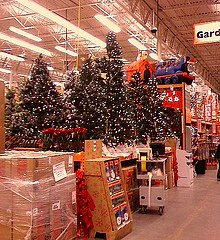 Christmas Trees in September!!! - If Christmas gets any earlier, we will be celebrating at the beach instead of looking for snow!!!