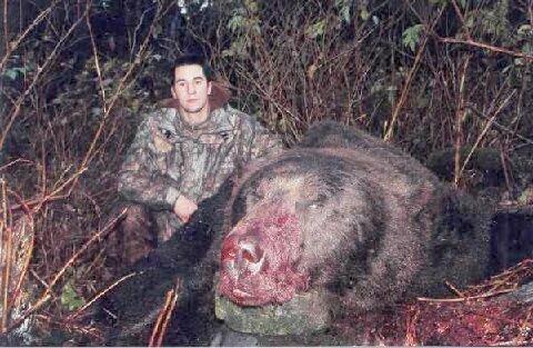 bear - Huge griz