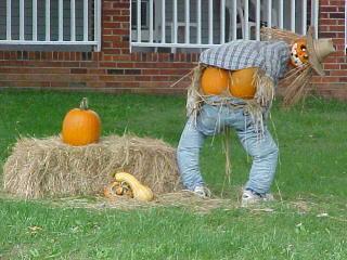 Happy Holloween - Pumpkin time