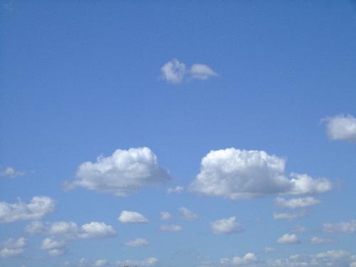 clouds - heart and dolphins kissing