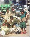 Street Children - Street children..