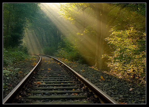 Light - The track to solitude