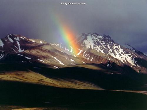 Colours of life - Together we stand divide we fall!!Such beautiful colours also can teach us a lesson!!