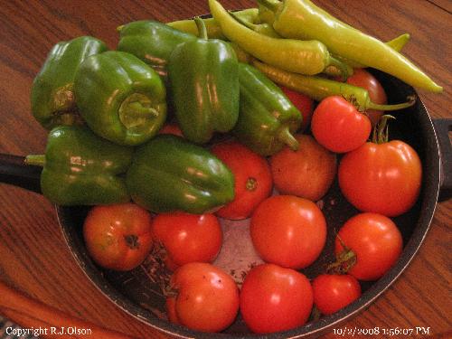 Last Veggies? - Seems thgis may be the end of ripe vbeggies for my garden this year. Frost is upon us here inm Minnesota. Last Veggies? - Seems thgis may be the end of ripe vbeggies for my garden this year. Frost is upon us here inm Minnesota.