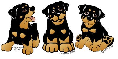 Rottweiler puppies - Drawing of three Rottweiler puppies