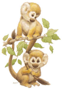 Monkeys - animated monkeys in a tree, clipart.