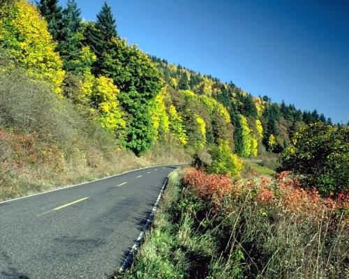 Road - a beautiful picture of a road located somewhere in Australia.
