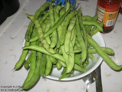 Pole beans (green) - The last batch I feel.