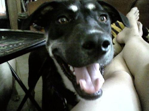 Maggie May - Our new adoptee (2 years ago)