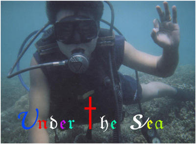 diving - This is my brother when diving, it is really fun and it is a great experience to sea the under water world.