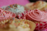 the cupcakes - colorful cupcakes,oven cooked