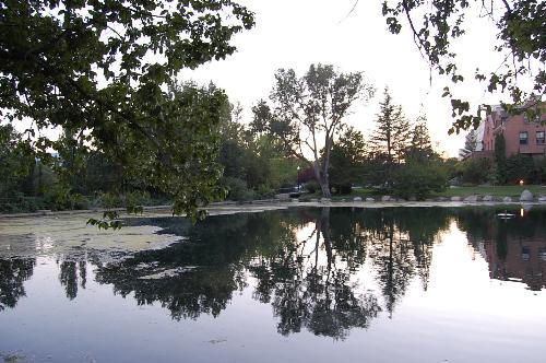 unr(4) - Beautiful scene of University of Nevada, Reno