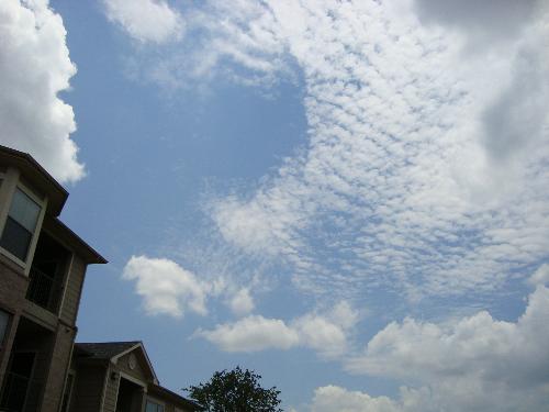cool-looking cloudies. - 8)
