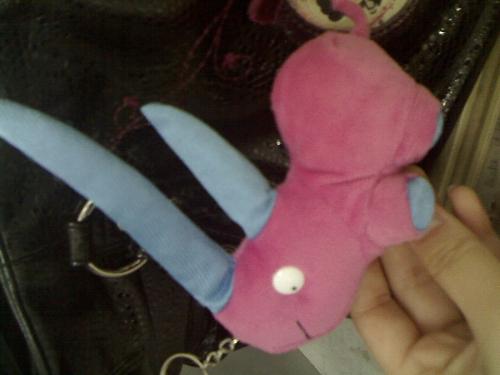 rhinoceros - this is a gift from one of best friends. and its name is two horns.