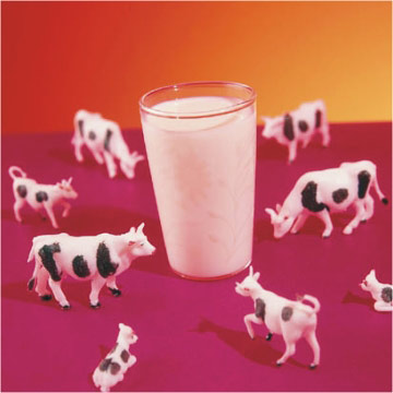 milk - milk and cows