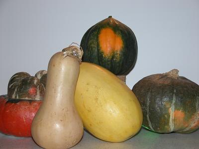 Squash - I never knew there is two different kinds of squash.
Winter and summer.
