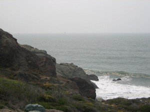 Turtle Rock - San Francisco Bay, CA