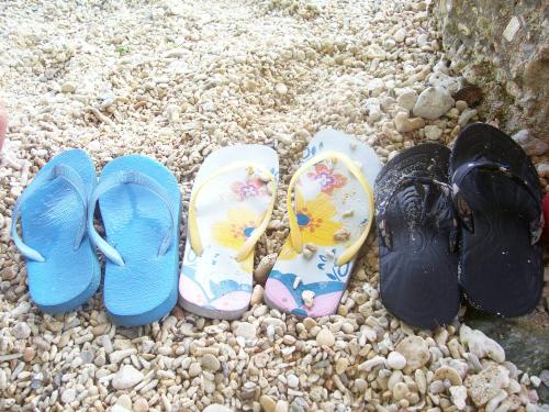 flipflops - colorful comfortable flipflops best for wearing while relaxing on the beach.