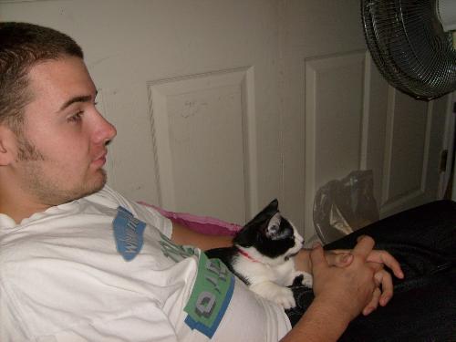 My Babies - They were watching Tv lol My cat loves tv
