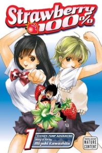 Ichigo 100% Vol 1 - Ichigo 100% (Strawberry 100% in the Viz English version) is a 167-chapter manga by Mizuki Kawashita that was serialized in the Weekly Shonen Jump magazine from 2002 volume 12 to 2005 volume 35, and collected in 19 tankobon volumes between August 2002 and December 2005. The manga has been adapted into an audio drama, light novel, game, and anime. The manga has recently been licensed by Viz Media with volume 1 released in July 2007.   - answers.com
