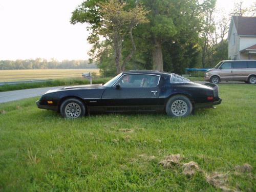 79 firebird formula - I really hate myself that I sold this car tomove out of state.