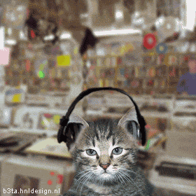 Cat with headphones - Cat listening to music