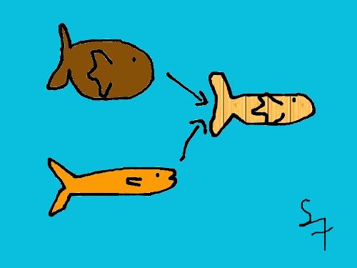 Speciation Evolution Creationism - When parents have children, the children inherit traits from both parents, and the occasional mutation can occur. If that mutation is helpful to them in survival, future generations will seek mates with that mutation.