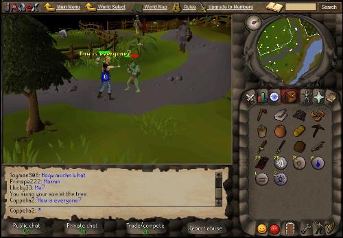 Runescape - This here is a scree shot of a guy attacking a goblin in runescape