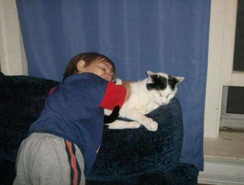 My son and Casey - My little ones just adored this cat, and he was so gentle with them. He really was a very good cat. Rest in peace in kitty heaven Casey. My son and Casey - My little ones just adored this cat, and he was so gentle with them. He really was a very good cat. Rest in peace in kitty heaven Casey.