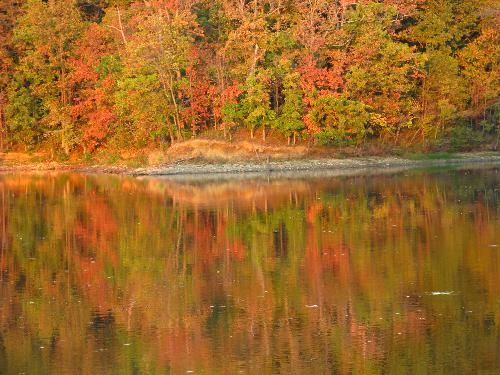 Fall Colors - Washington County