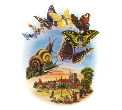 Illustration from Children&#039;s Book - "Butterfly Ball" illustration