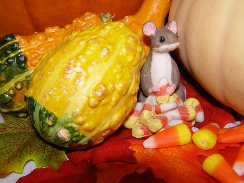 candy corn mouse - A pic from those I took yesterday. working on still lifes