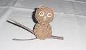 pine cone owl - Pine cone owl on a tree branch