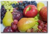 fruit - a collection of summer fruits