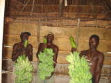 fruit - african agriculturers with bananas harvest