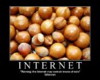 internet too young too bold - internet is only 20 years old or you may say young ....